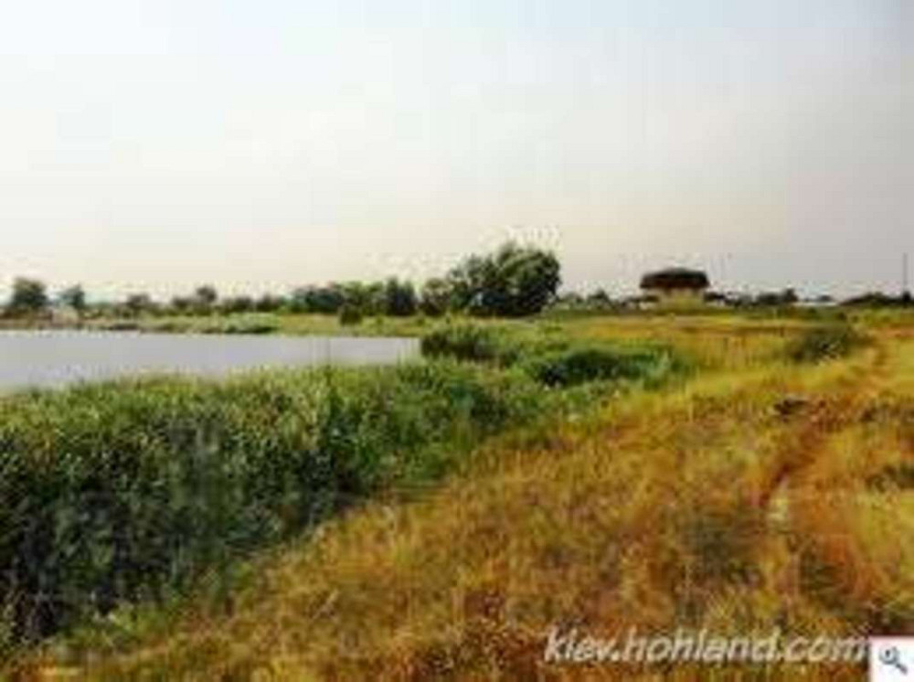 Продаж земельної ділянки 25 соток  - фото 3