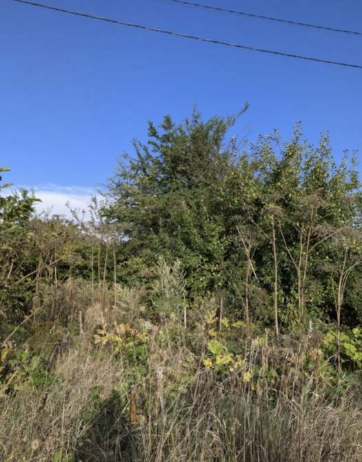 Продаж земельної ділянки 12 соток на Затишок  - photo 4