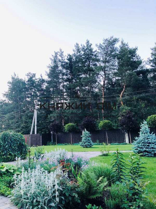 Первая сдача! Сдается в аренду дом в поселке Большая Солтановка. № 139250 Велика Солтанівка - фото 3