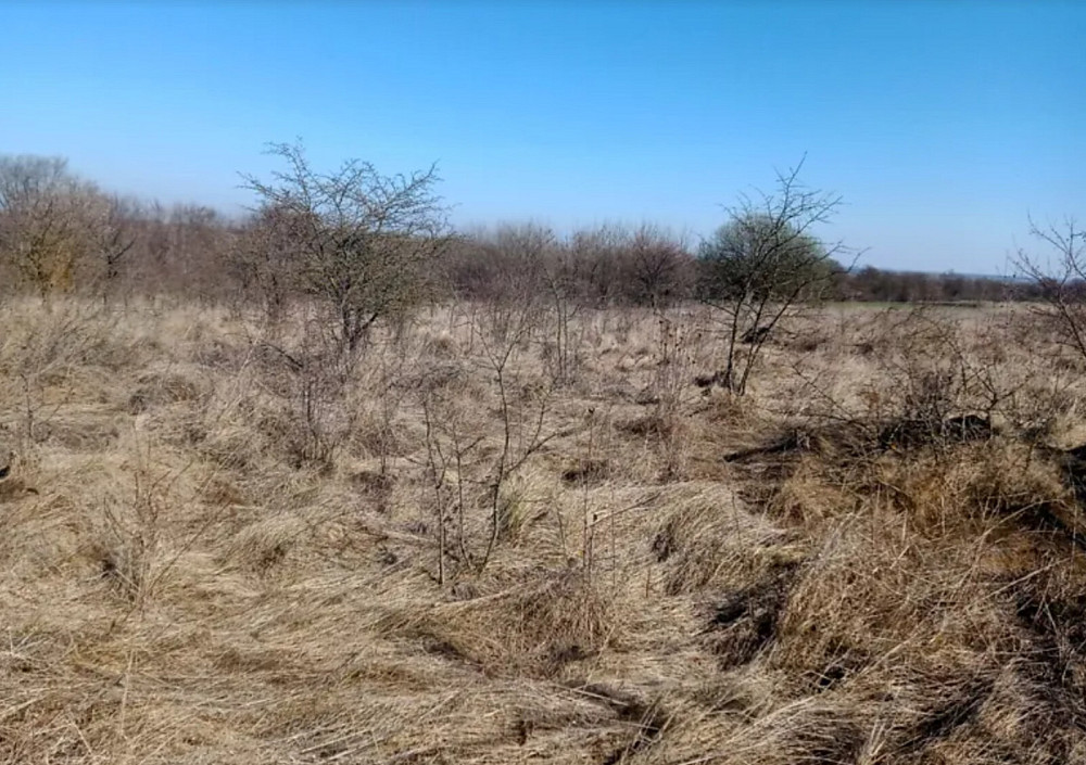 Продаж земельної ділянки 8 соток  - фото 5