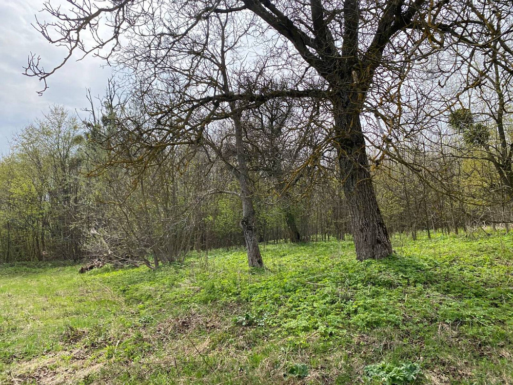 Продаж земельної ділянки 9.36 соток на вул. Глінки Кременець - фото 2