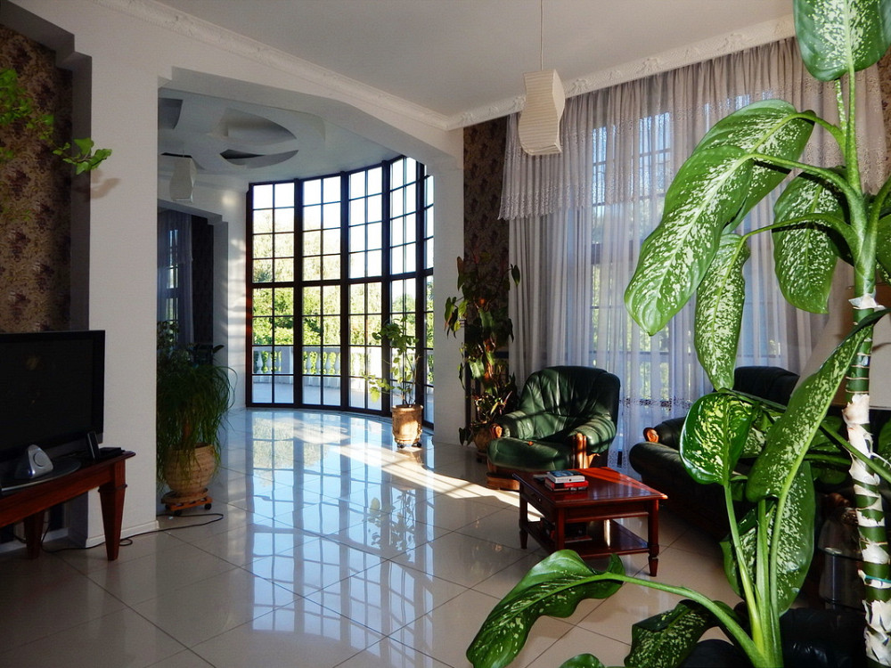 Продаж 2-поверховий Будинок з ділянкою 14 сот 480 кв.м    - фото 15