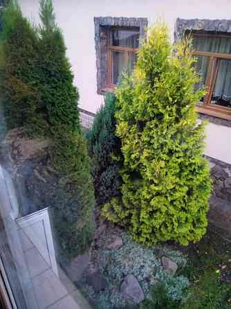 Продаж Будинок 4-кімнатний на вул. Зелена Підгайчики