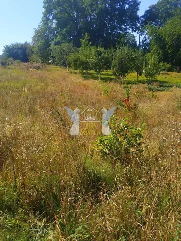 Продажа земельного участка  площадь 12 сот В. Чорновола вулиця 1  - изображение 9