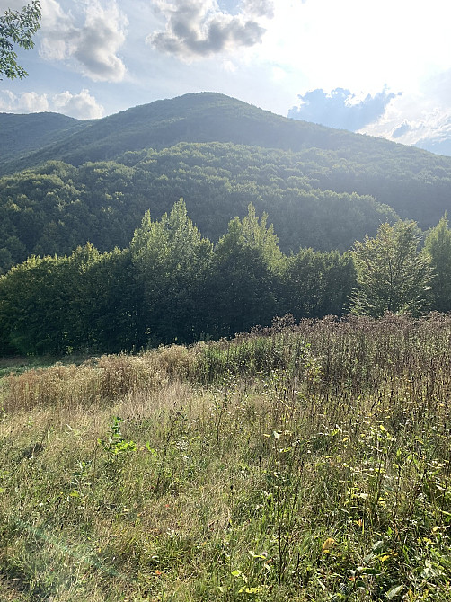 Продаж земельної ділянки 71.71 соток Yaremche - photo 6