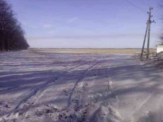 Продаж земельної ділянки 2.95 га Городище (Іванківський район)