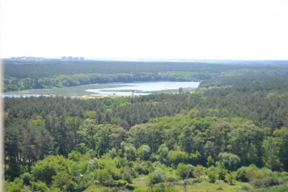 Оренда Квартира 1-кімнатна, 9/23 поверх на Мудрака, 66 Київ - фото 7