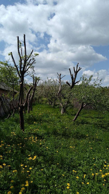 Продаж Квартира на улица Бібрка - фото 7