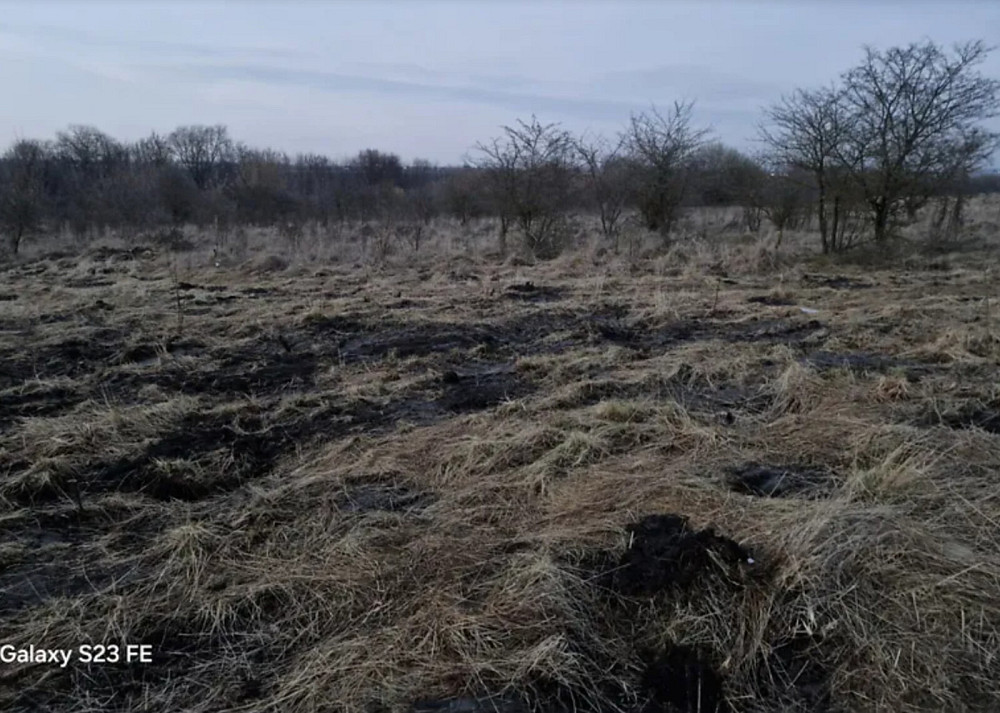 Продаж земельної ділянки 8 соток  - фото 6