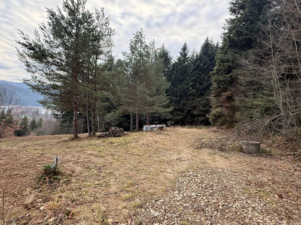 Продаж земельної ділянки 10 соток на вул. лісна Сколе - фото 5