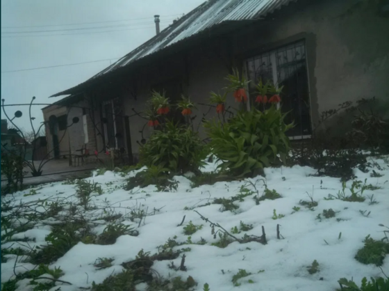 Продаж торгове приміщення поверх - 1/1 Черняхівка