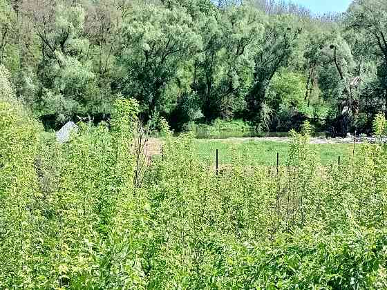 Продаж земельної ділянки 8 соток на Левків Житомир