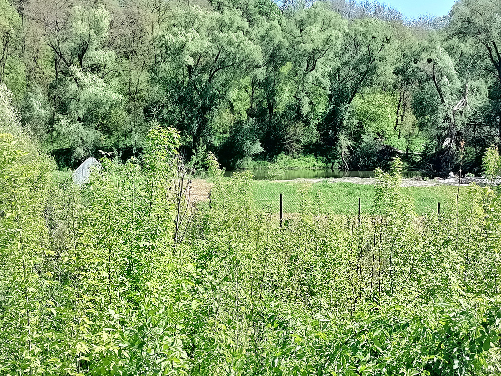 Продаж земельної ділянки 8 соток на Левків Житомир - фото 3