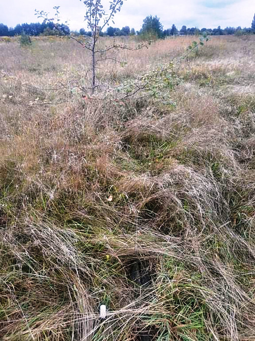 Продаж земельної ділянки 10 соток на Глубочиця Житомир - фото 1