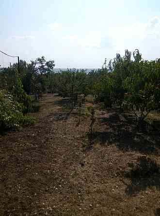 Продам летний домик в СТ "Межлиманье"( Рядом "Лавандия") Протопопівка