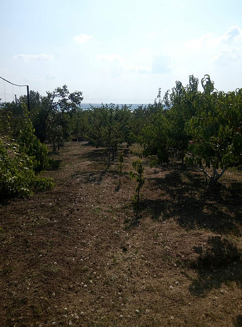 Продам летний домик в СТ "Межлиманье"( Рядом "Лавандия") Протопопівка - фото 4