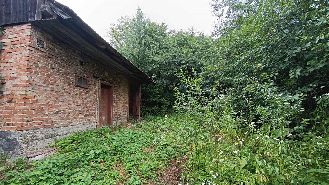 Продаж земельної ділянки — Вовчищовичі Sudova Vyshnia - photo 8