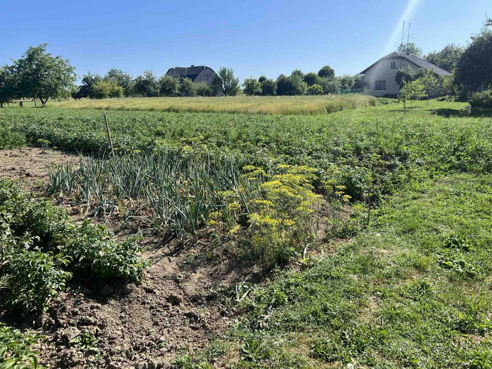 Продаж Квартира на улица Шевченка 61 Туради - изображение 17