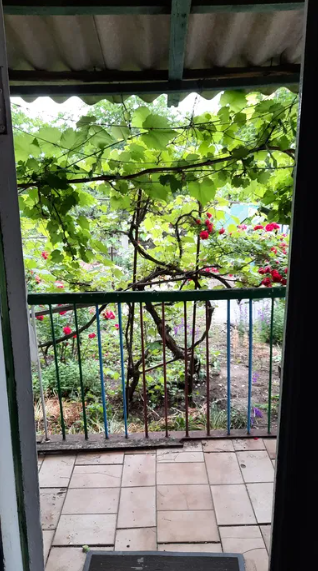 Продам дом в с.Красная Горка (Одесская обл., Беляевский р-н) Chervona Hirka - photo 9