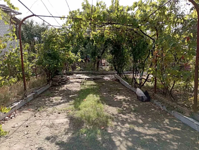 Продам дачу на берегу Хаджибеевского лимана (СМ "Отрадово", Болгарка) Odradove - photo 11