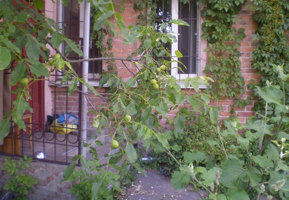 Продаж Квартира 4-кімнатна, 1/1 поверх на вул. Київська Житомир - фото 3