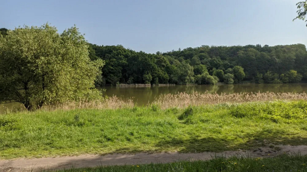 Оренда Квартира 1-кімнатна, 5/14 поверх на Науки просп., 54б Kiev - photo 18