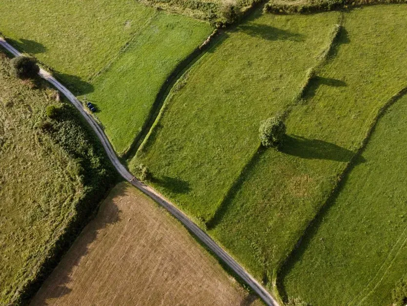 Продаж земельної ділянки Для будівництва приватного житлового будинку площа 15 сот ясна Кіровське (Дніпропетровський район) - фото 1