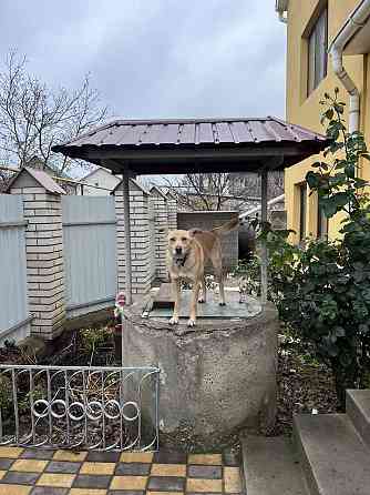 Дом в 15-ти минутах от Одессы Нерубайське