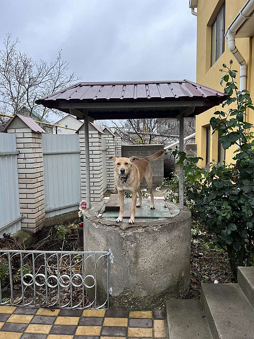 Дом в 15-ти минутах от Одессы Нерубайське - фото 2