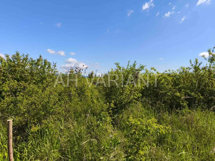 Продаж земельної ділянки Для сільськогосподарської діяльності площа 8 сот Польова Кінчеш - фото 11