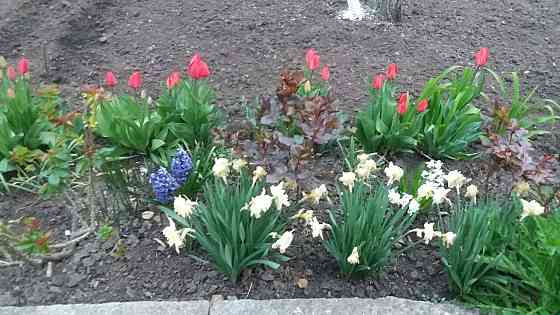 Продам участок Одесса Фонтан, 11.2 сотки, с коммуникациями, рядом море Одесса