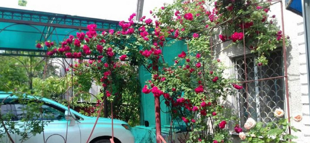 Продам ухоженный дом в Прилиманском Прилиманське - фото 9