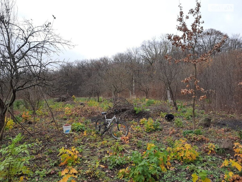 Продаж земельної ділянки 40 соток  - фото 6