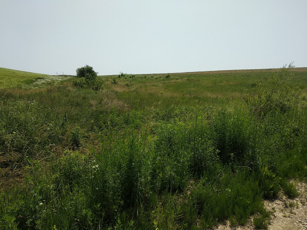 Продаж земельної ділянки 7 соток на Пшенична Vovchynets - photo 5