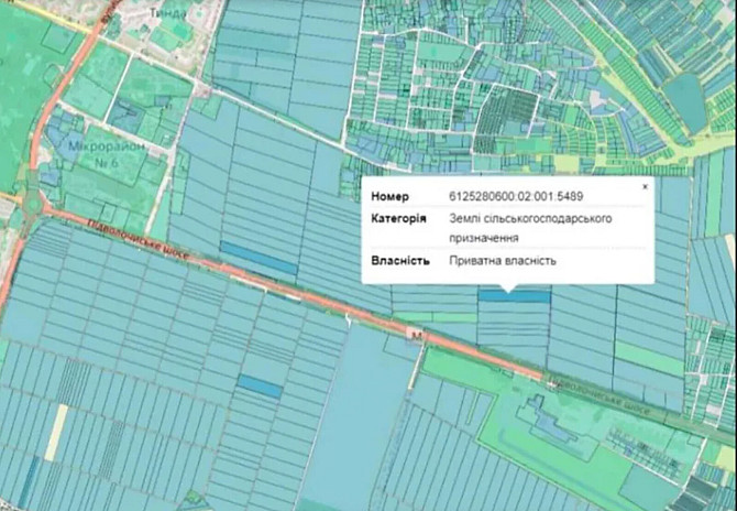 Продаж земельної ділянки сільськогосподарського призначення, площа 2.2239 Га Байківці - фото 2