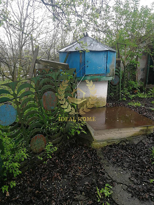 Продаж 1 поверхового будинку с. Устимівка Ustymivka - photo 14