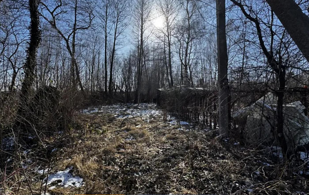 Продаж земельної ділянки 4.79 соток Zhyrivka - photo 2