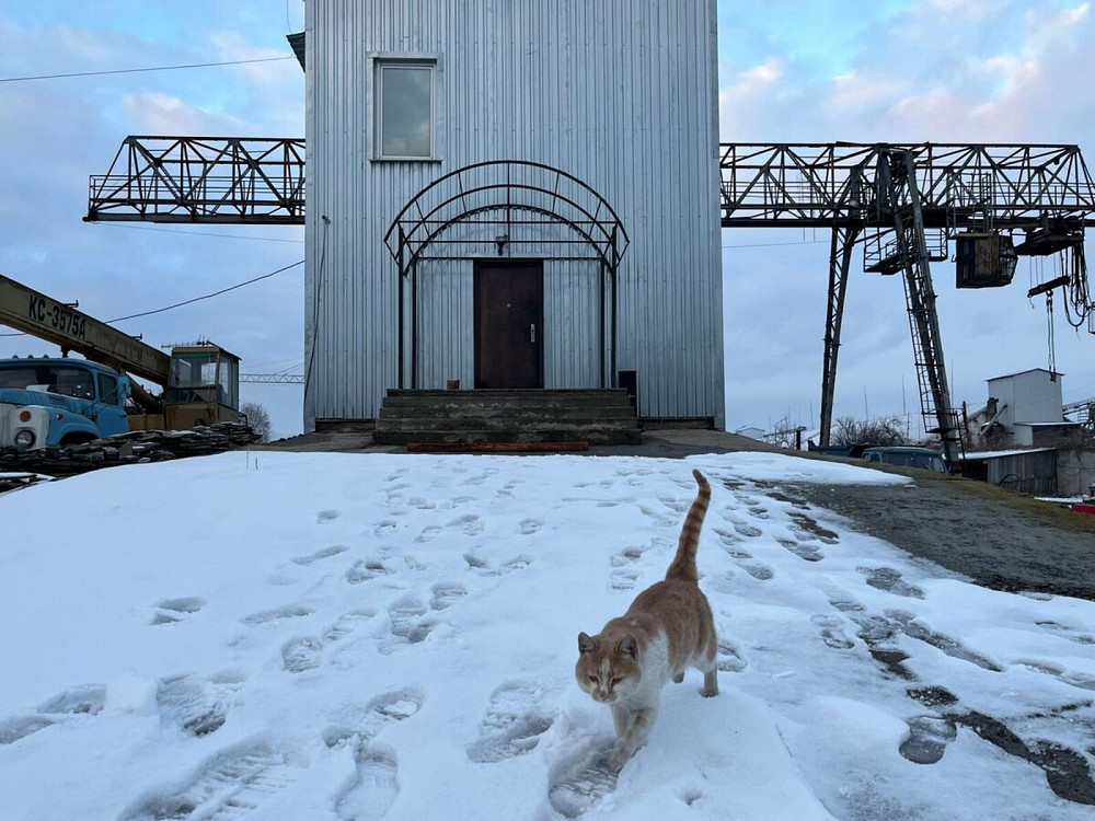 Продаж земельної ділянки 1.27 га на Левка Лукяненка (Ватутіна) 1А Винница - изображение 2