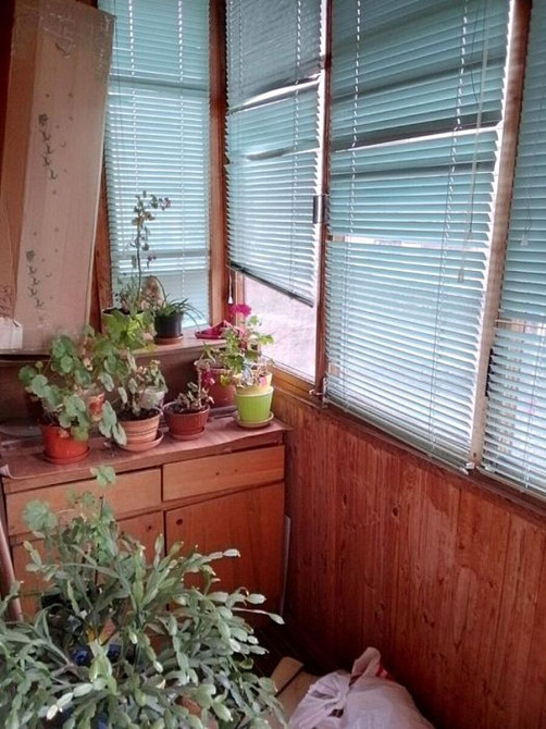 Оренда Квартира 1-кімнатна, 2/9 поверх на Бажана Николая просп., 7б Київ - фото 4