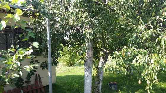 Продаж земельної ділянки 20 соток Головурів