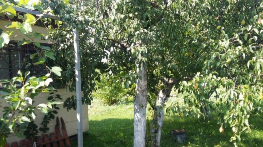 Продаж земельної ділянки 20 соток Головурів - фото 5