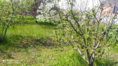 Продаж земельної ділянки 0.1 соток на ул. Вишневая (ул. СК Гидропорт), 31 Naberezhne - photo 7