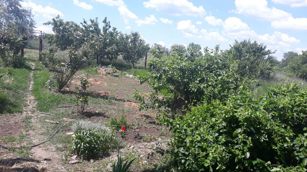 Продаж земельної ділянки 0.3 соток на ул. Шевченко, 20 Великий Дальник - фото 1