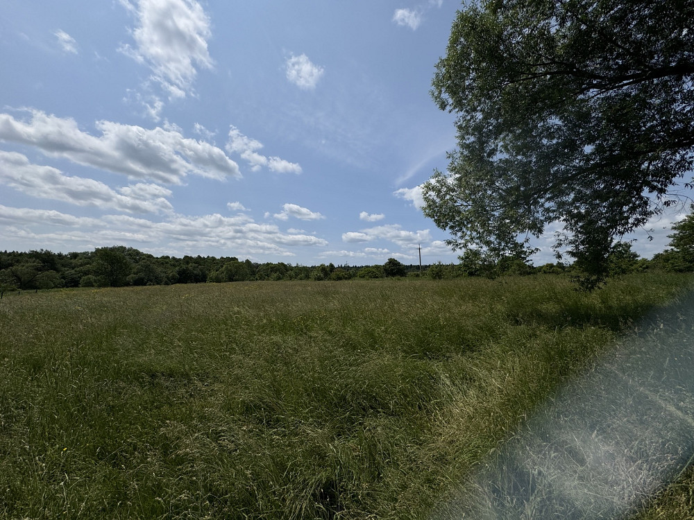 Продаж земельної ділянки 24.8 соток на За великим  - photo 5