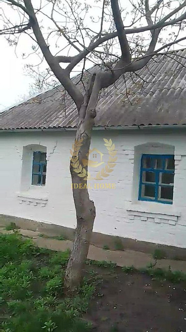 Продам будинок у Денихівці, 3 кімнати Денихівка - фото 1