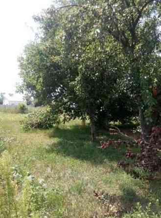 Продаж земельної ділянки 25 соток Сеньківка