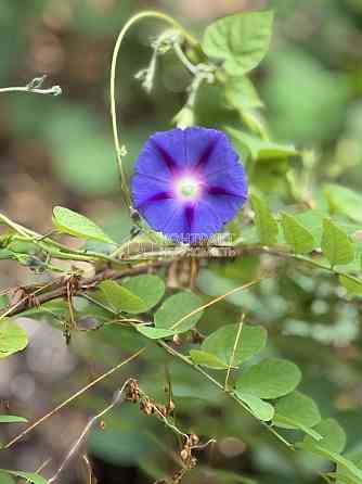 Продаж Квартира 3-кімнатна, 7/16 поверх на вул. Грозненська Харків