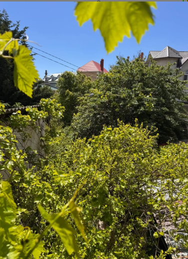 Продам дом на Даче Ковалевского (участок 3 сотки) Одеса - фото 16