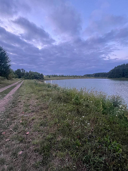 Продаж Будинок на Вишнева Дашківці - фото 10