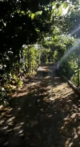 Продам дом с баней в с.Новоукраинка (Раздельнянский р-н, 55 км от Одессы) Новоукраїнка - фото 19